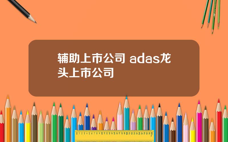 辅助上市公司 adas龙头上市公司